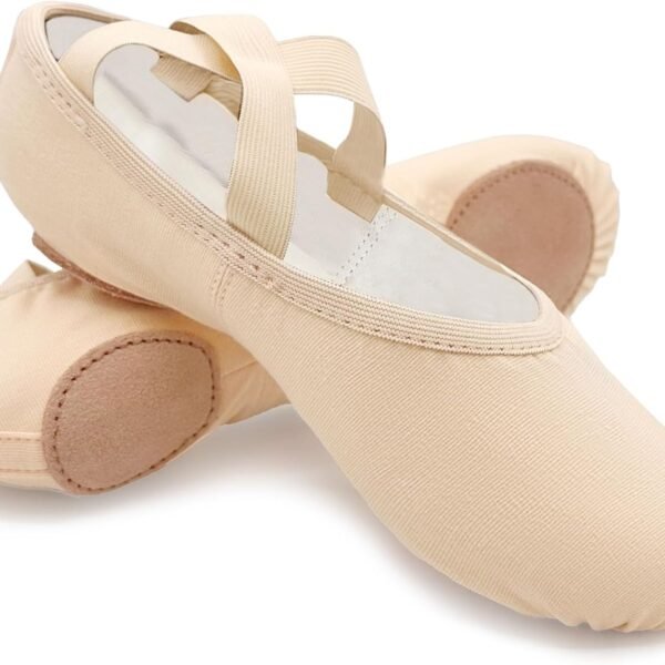 Stretch Canvas Split-Sole Ballet Shoes, High-Performance Ballet Shoes for Adults/Women